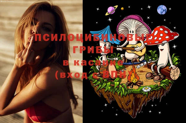 крисы Алексеевка