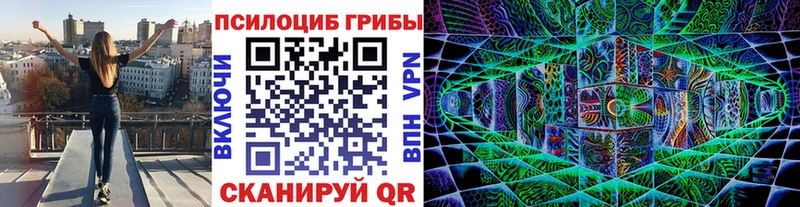 Псилоцибиновые грибы мицелий  гидра ТОР  Ступино 